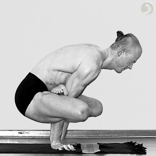 Kukkutasana