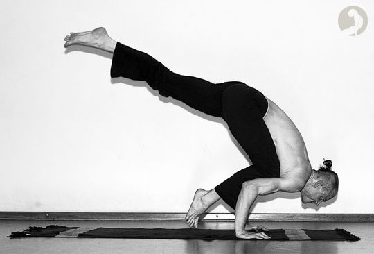 Eka-Pada Bakasana  [A]