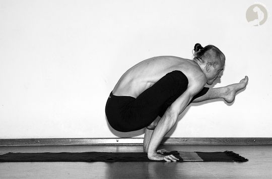 Eka-Pada  Bakasana  [B]