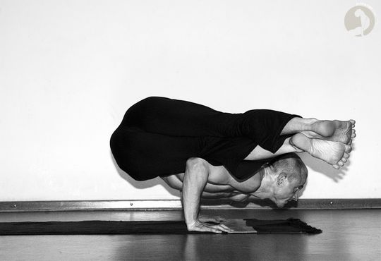 Kaundinyasana [A]