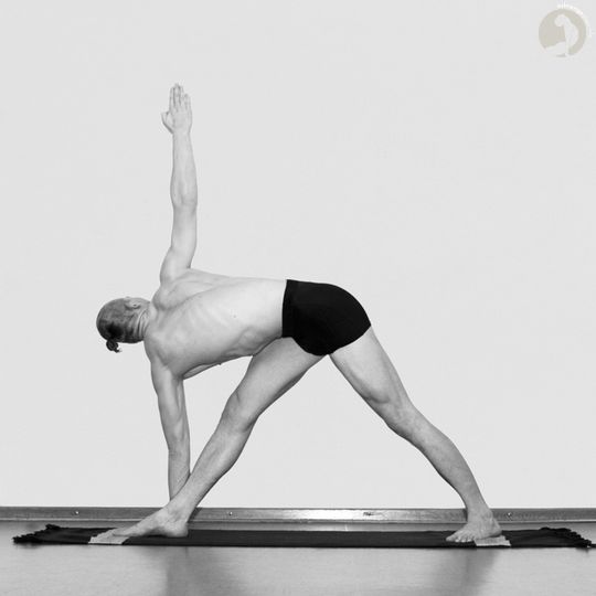 Parivritta Trikonasana
