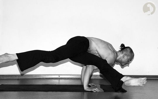 Kaundinyasana  [B]