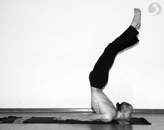 Viparita Shalabhasana