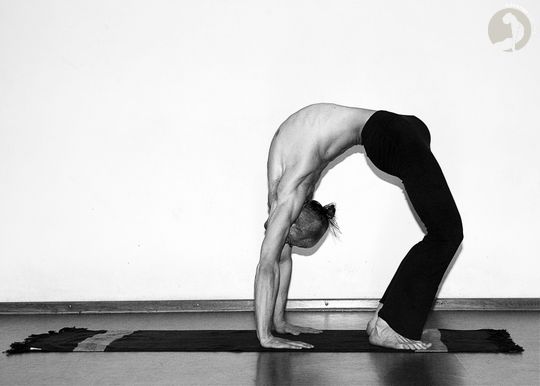 Urdhva  Dhanurasana